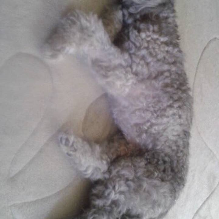 8301edd1 4c5c 487f 9970 763ed452571b