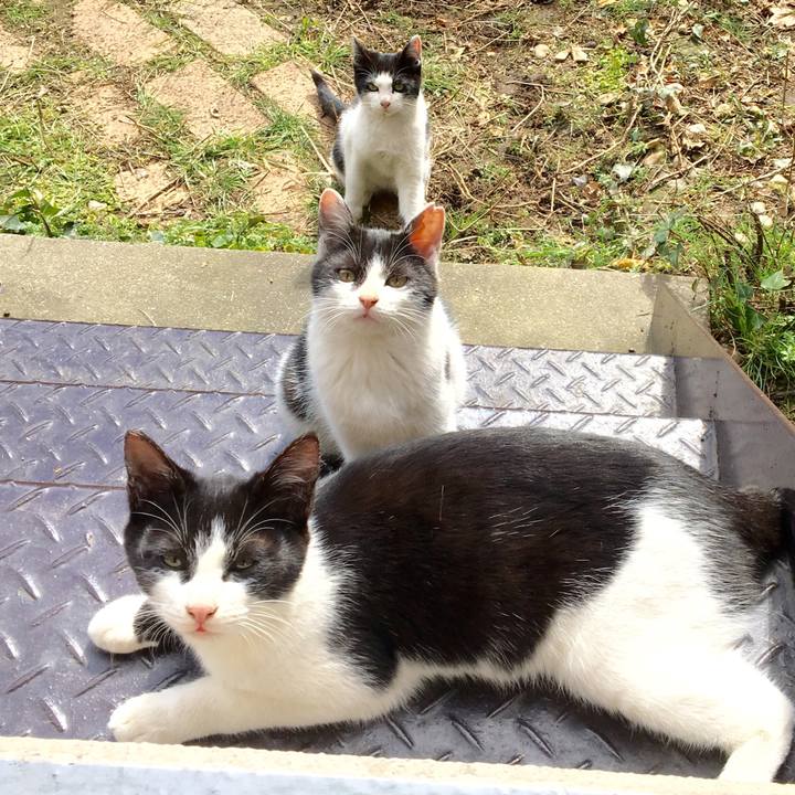 8302c618 0be9 4e01 8bc5 3d5b584587c8