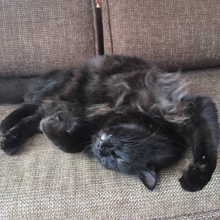 8302e333 fb79 42bd 8212 35416db53133