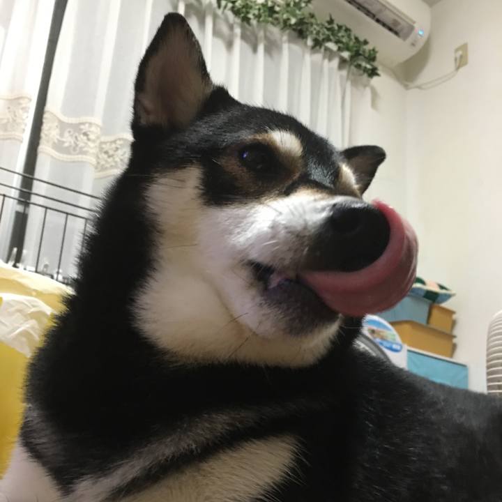 8303c5cb 7119 4da0 a14e 02744f645bc4