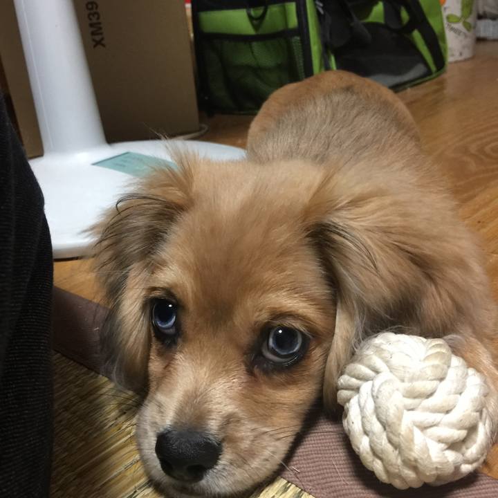 8303c9ce 346e 4a06 bd20 281972cf15e9