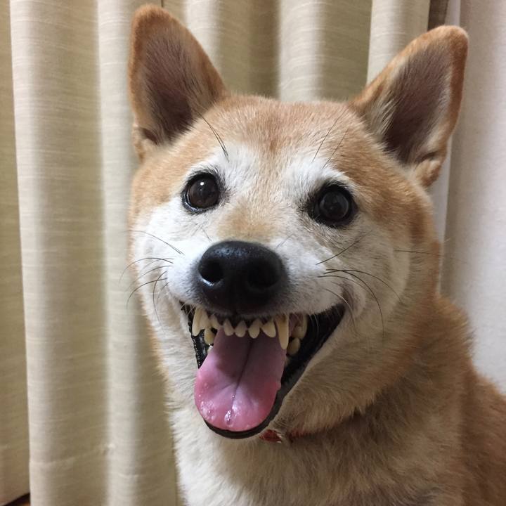 8303ea12 e784 47f3 a0bd 3fbb3184de6f