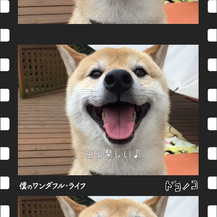 8304260b ea69 4571 9668 e0ad62982816