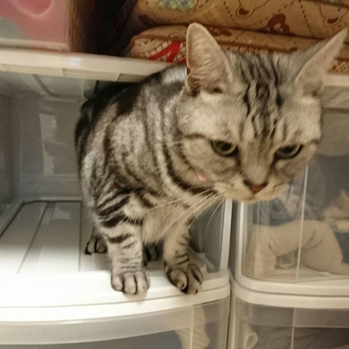 830430d6 dc5f 4c4f 877d f08104578138