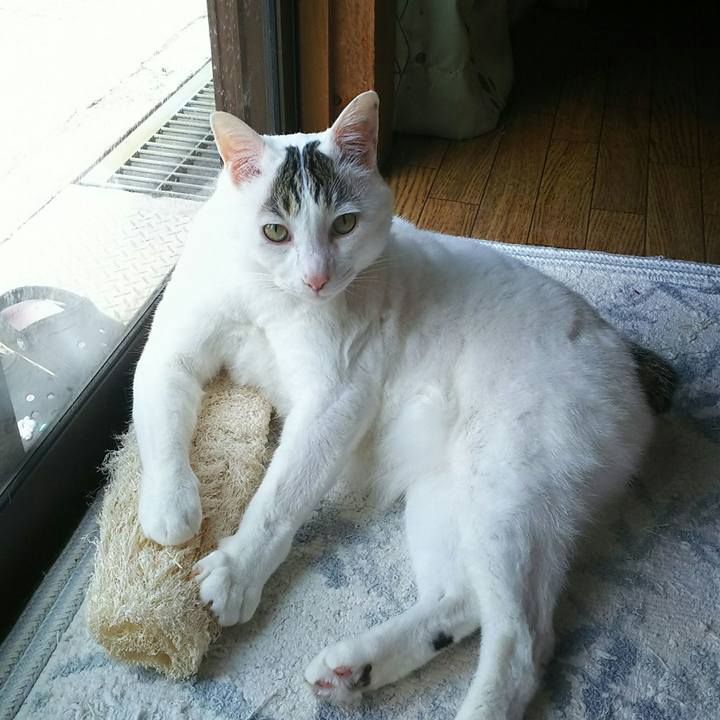 8304be90 ee10 42b2 a193 d137615f838a