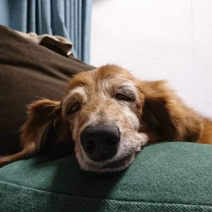 8304d464 6c08 407e 8666 de8c29232293