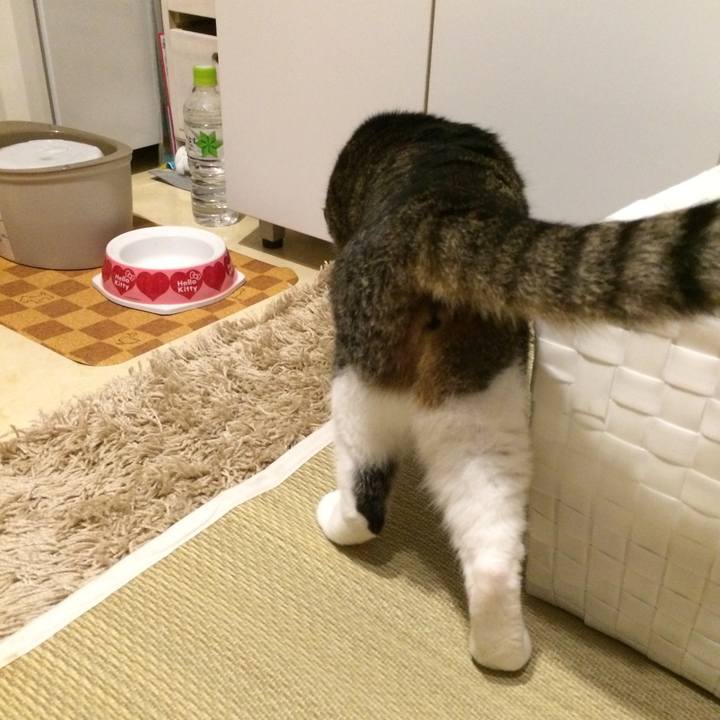 8305292c 4f86 4404 9c92 25d52daae651