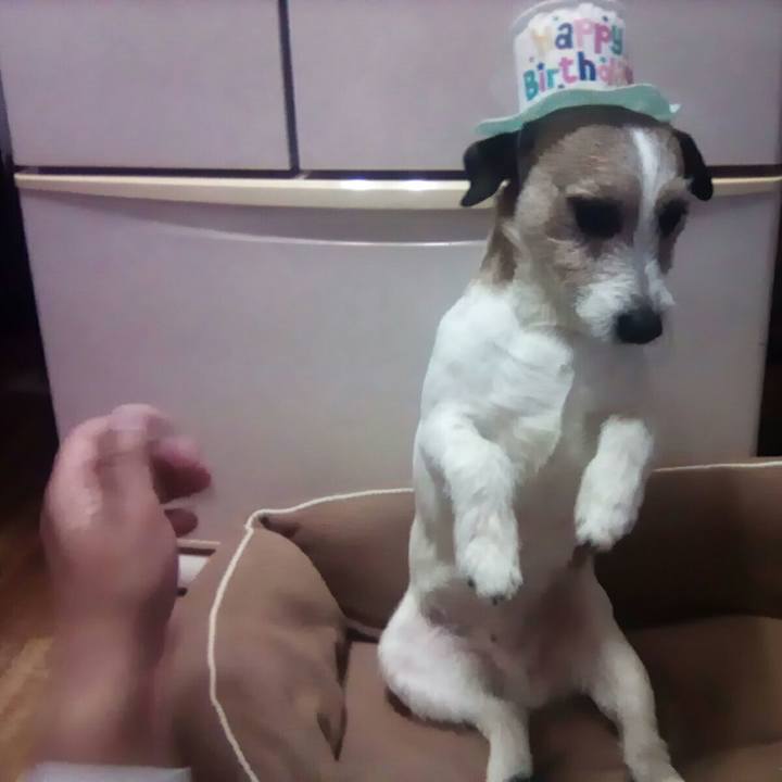 83056be5 9c5b 44e2 8a6f f5229b28876c