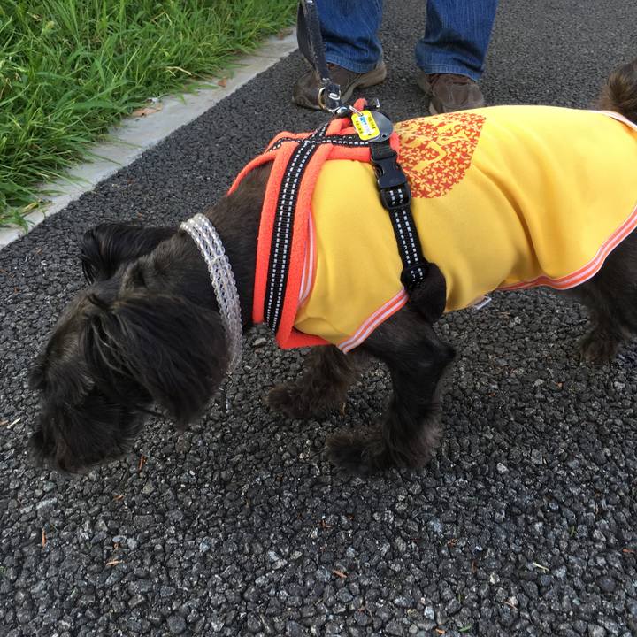 8305a3df e474 439e 98f0 7fe95b0cbbef