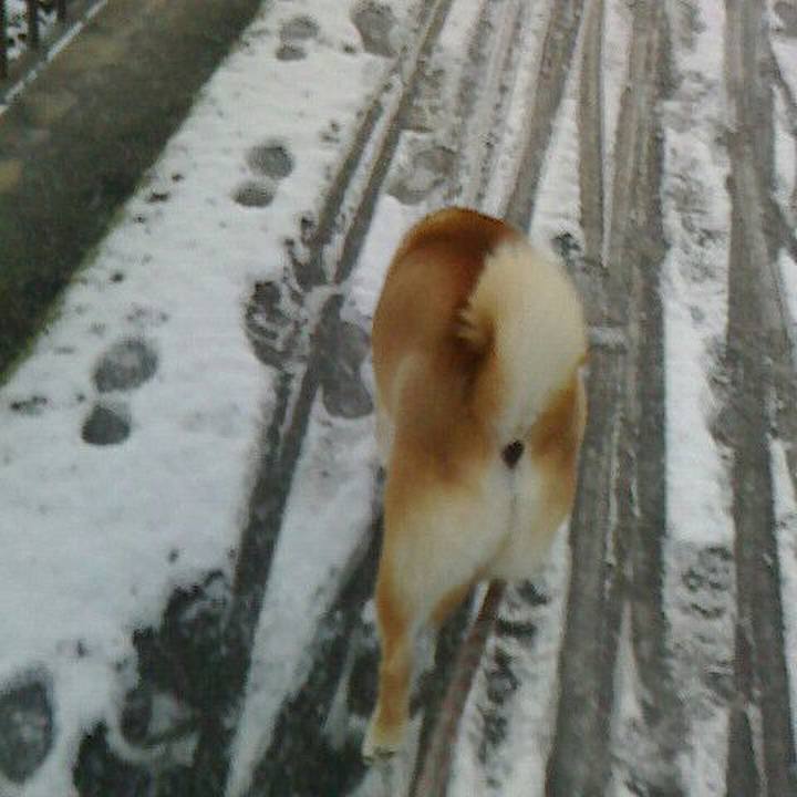 8305a874 2961 4149 9456 30cca1367433