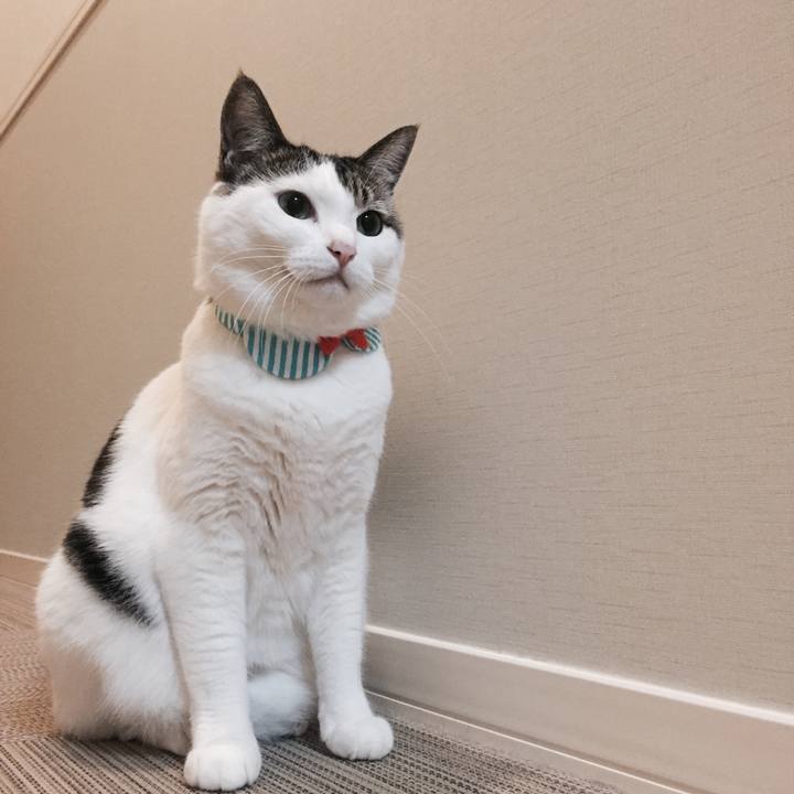 8305ea57 674f 4c88 9845 23d5e007ce14