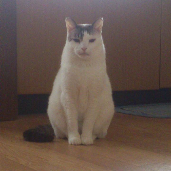 8305f045 4692 4bed af7f 00b097543434