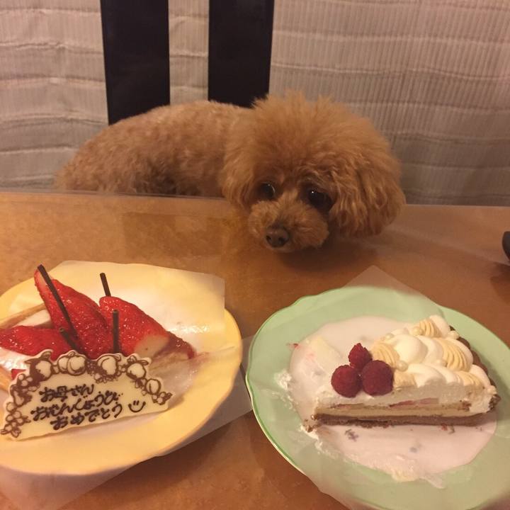 8307f5d0 57e8 484f 9761 f66b65d64190