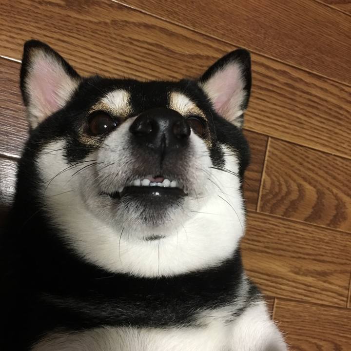 83086798 d000 406f 8671 49fabc133a31