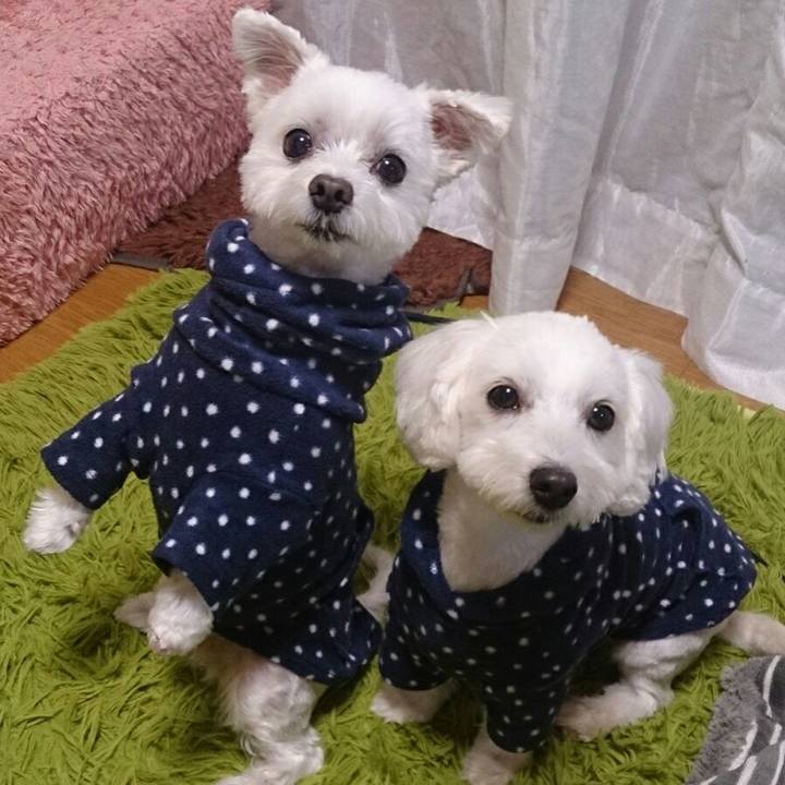 830867c7 e58e 464d 9fd2 e9f94cddaafa