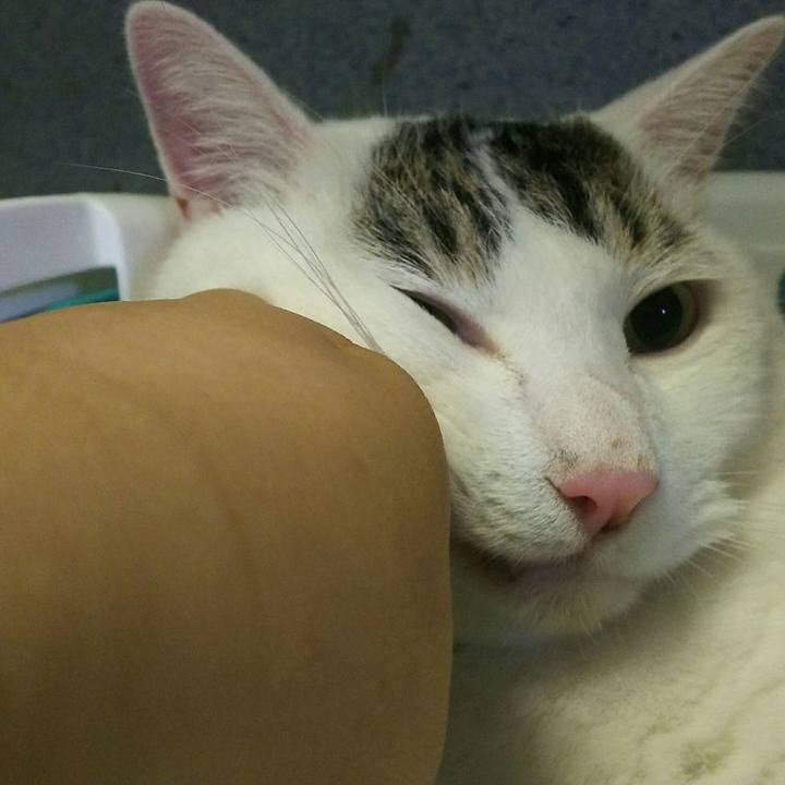 83089a6a 7a95 480a ad1b 2889c6951ac6