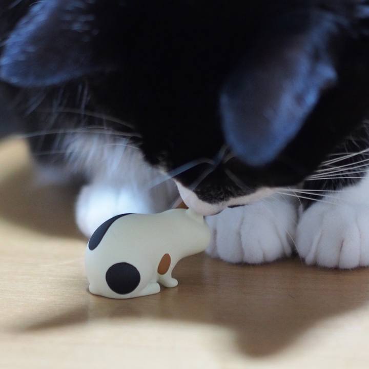 8309d049 841f 45bb b614 655f90ffeb9c