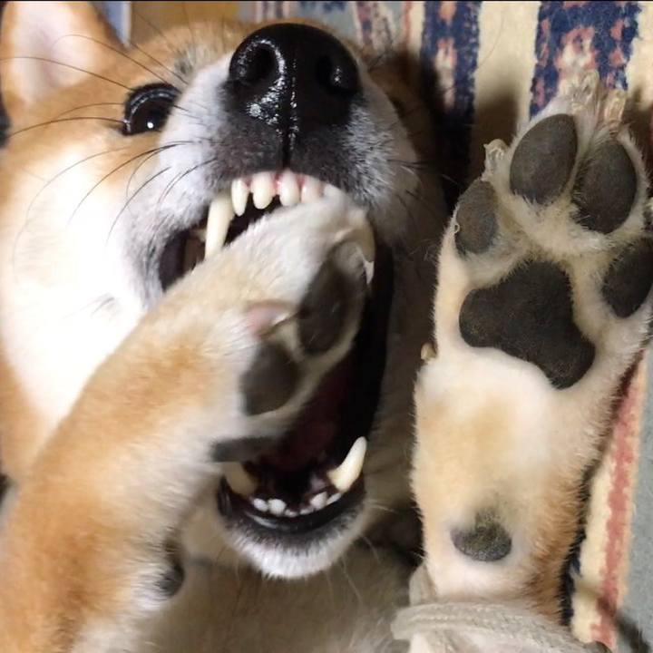 830a892a 409e 44a9 bef6 381b552823db