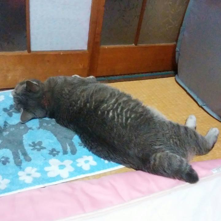 830aaa72 be42 42f2 8f40 21240a93800a