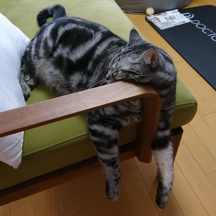 830afe72 ccf1 43c9 8426 4152ec3a16e5