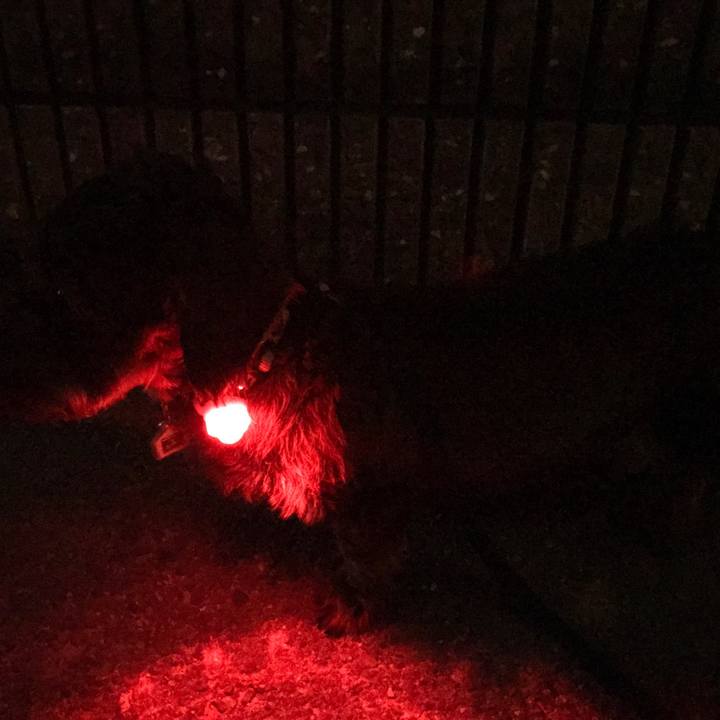 830b54df c46a 44b3 b12a 94a08e1ca1e6