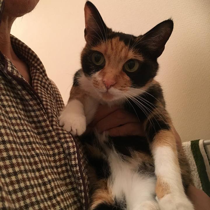 830b8c41 02f0 4550 be88 fdb3941ad90f