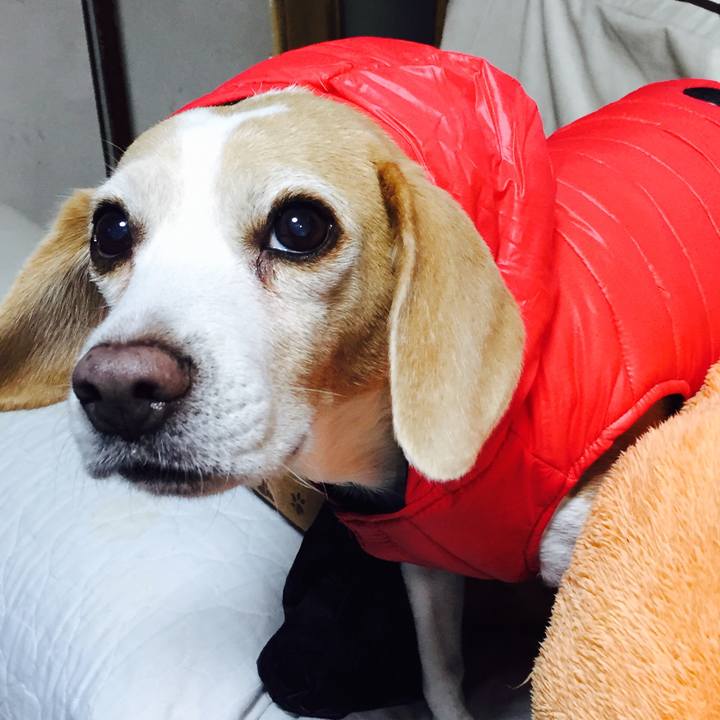 830b944b 014f 4ed7 bd5e 4dce6563adc2