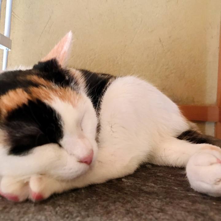 830c8fb9 e952 4801 8ac5 3a0c3c7bec0e