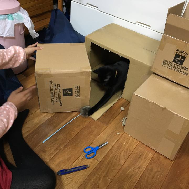 830d0d73 ff4b 4ea9 b42b d89627e624e0