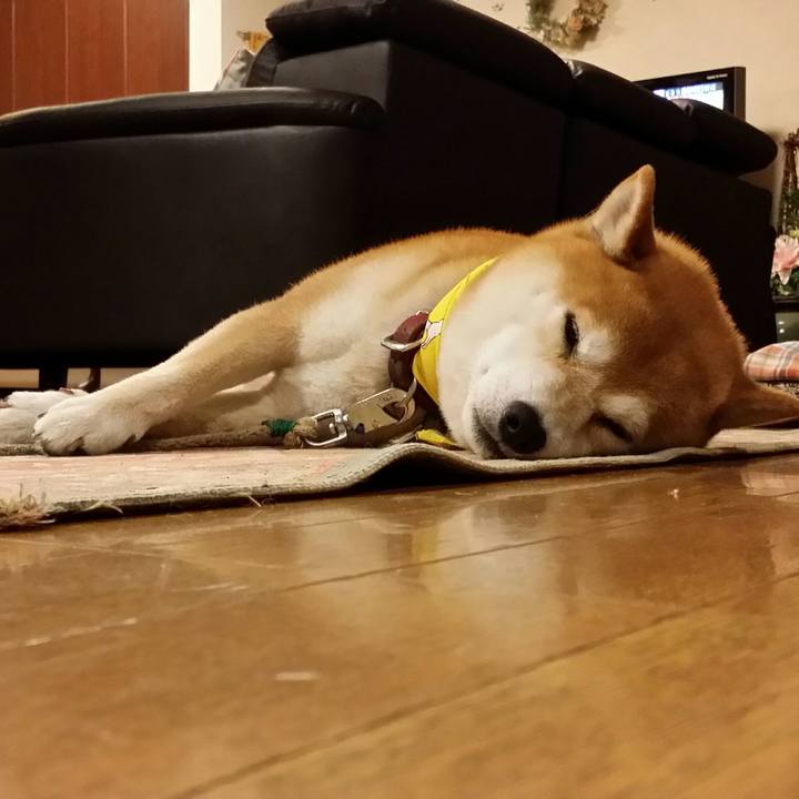 830da095 5765 495c ae2b 95775a881e28