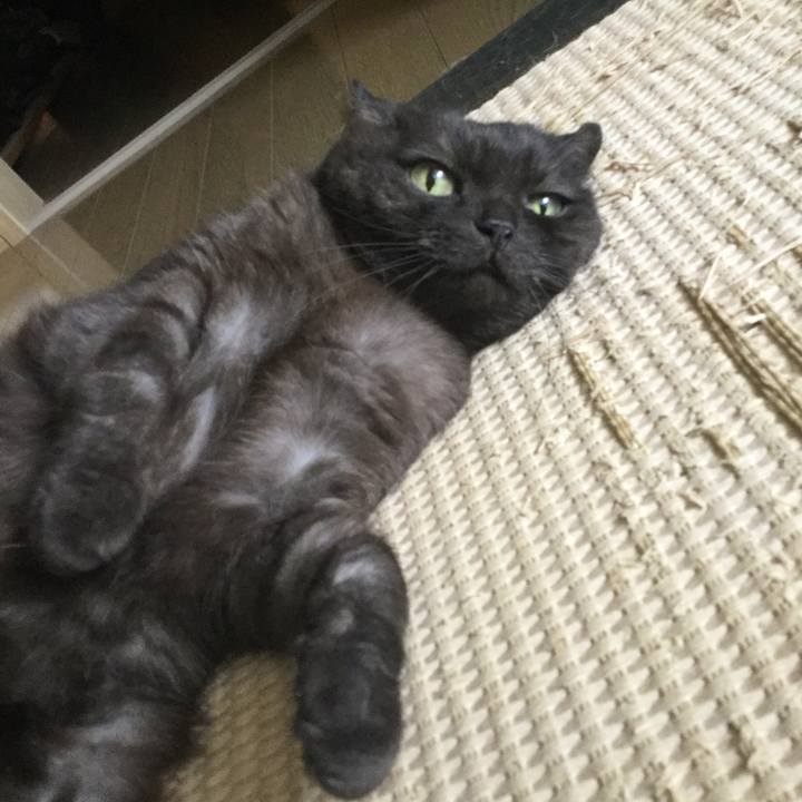 830e2c7c ca0b 44a8 9438 2397ecb8cf96