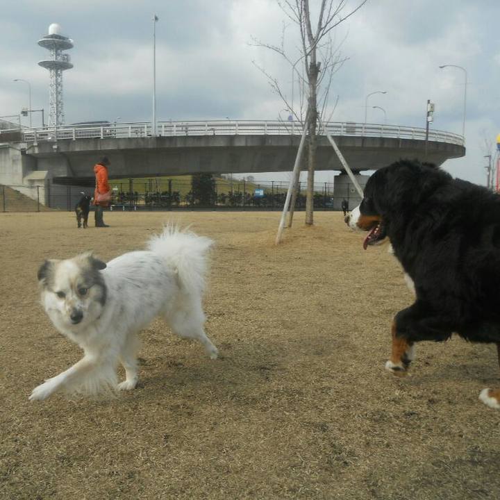 830e3896 9271 43e8 8487 a2319c86ec94