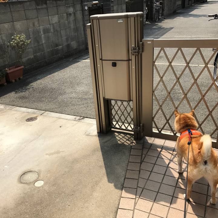 830e4925 2eef 4854 ab45 6ff132e8da31