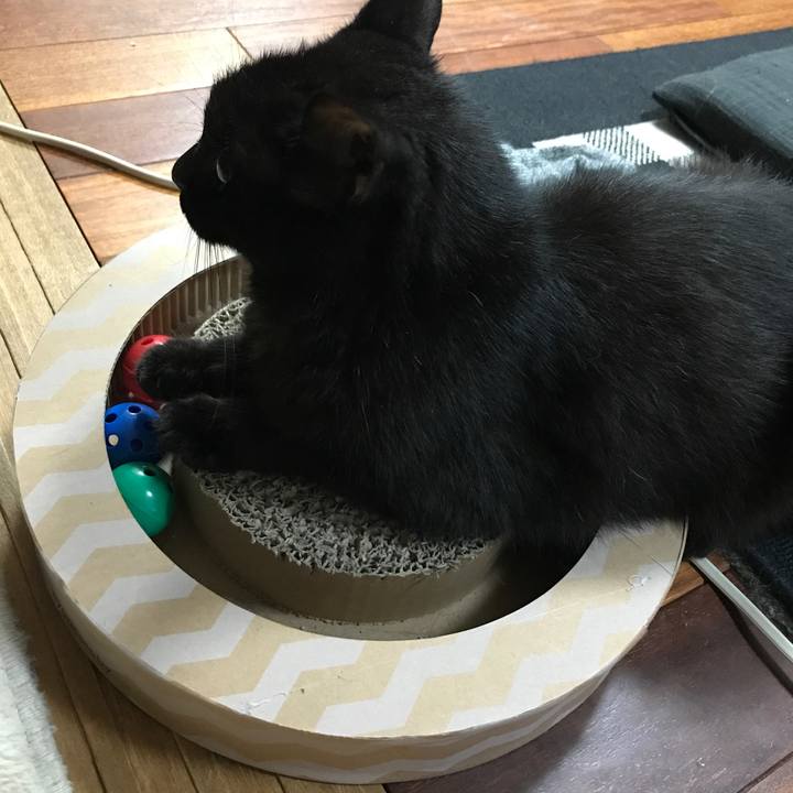 830e6950 66de 4f55 8595 f5c7fd4884b2