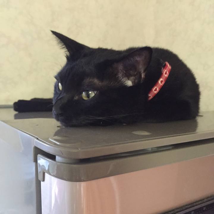 830edaf8 04e2 4397 b731 9ec83143b256