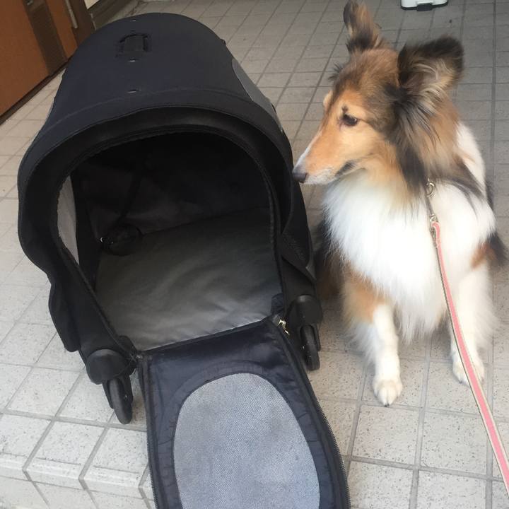 830f6543 246e 4e5a 9450 5c388dd5233a