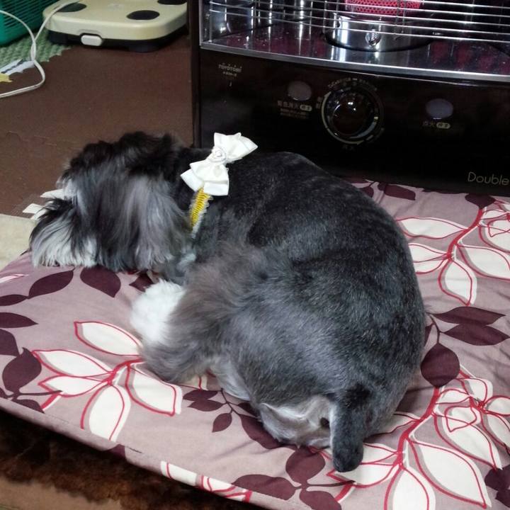 830f7ba9 f24d 466e a158 8802180371cb