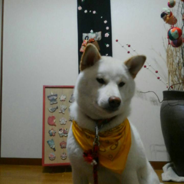 830f85c9 3821 402c 9ff5 b7db825ab50b