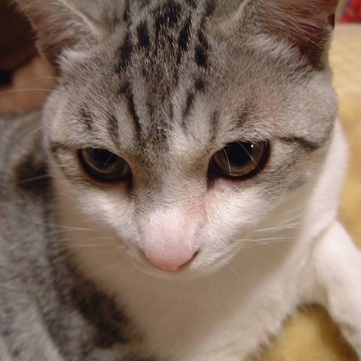 830fa21b 0396 46a5 8152 3190675f4034