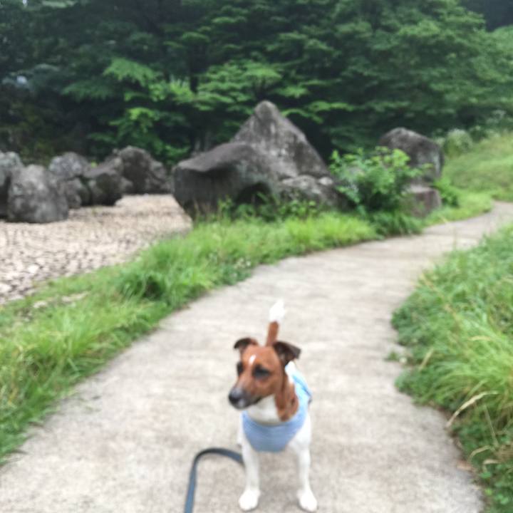 830fb8a3 b9ea 4b02 976d c09cb3ddebbf