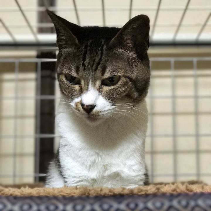 830fda32 7b46 44eb b3ac 0828ddd642e5