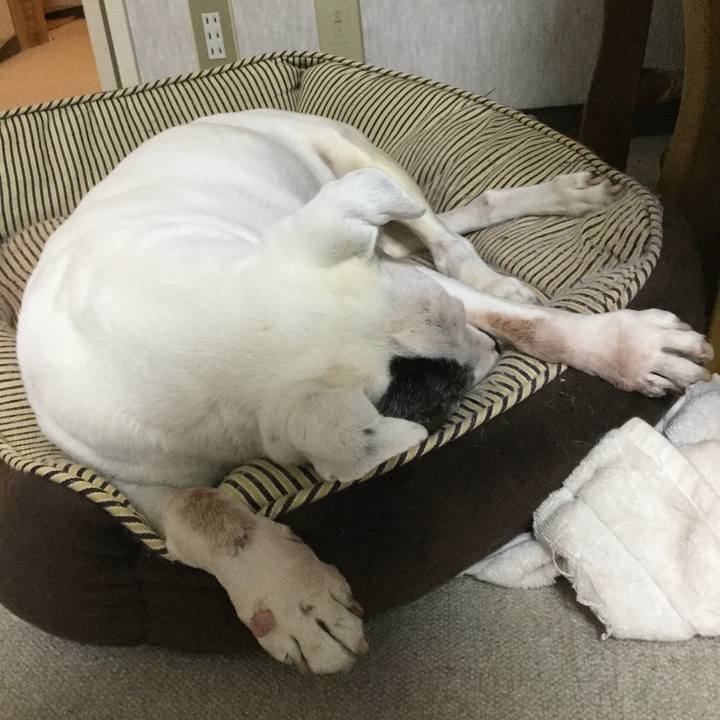 83105fd5 a881 4690 91e8 b08edadcf084