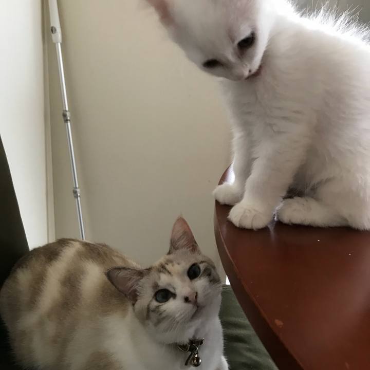 83107014 4c06 48fb a333 40e69fe19f82