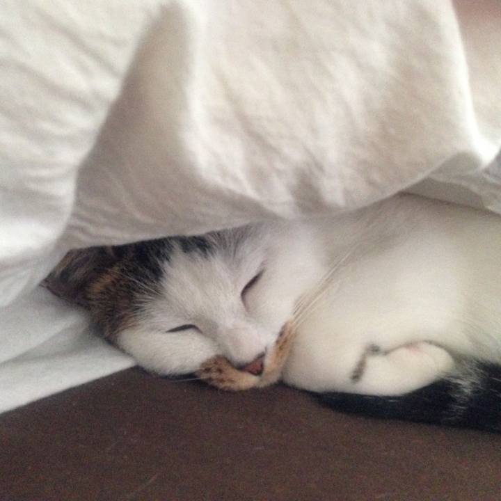 8310989f f32b 47e4 8fea 64fe5cb85fc5