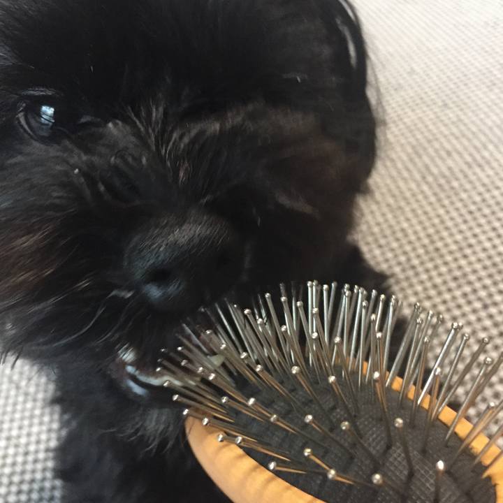 831160fe 9603 42ca 96c4 8bb4d055ab4f