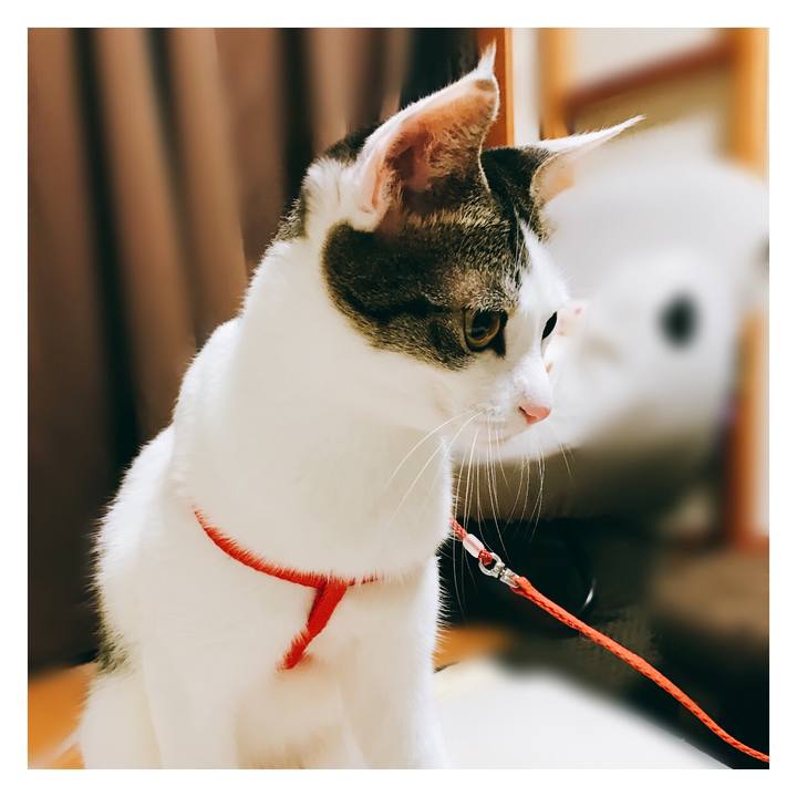 831167de aed3 47f4 9dfe f1485f762413