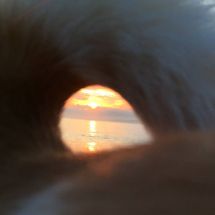 8311b167 738a 412e 880e 1c1ca65de12e