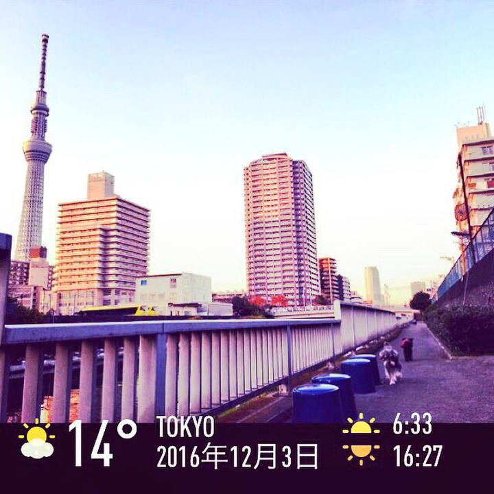 8312c02e 1933 4ced a447 dcaaa39c64dd