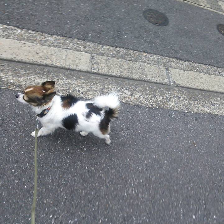 8312f404 9f44 4109 a319 fe9f3407282b