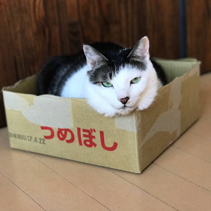 83136ad7 3303 48a0 bf85 03234f207c7e